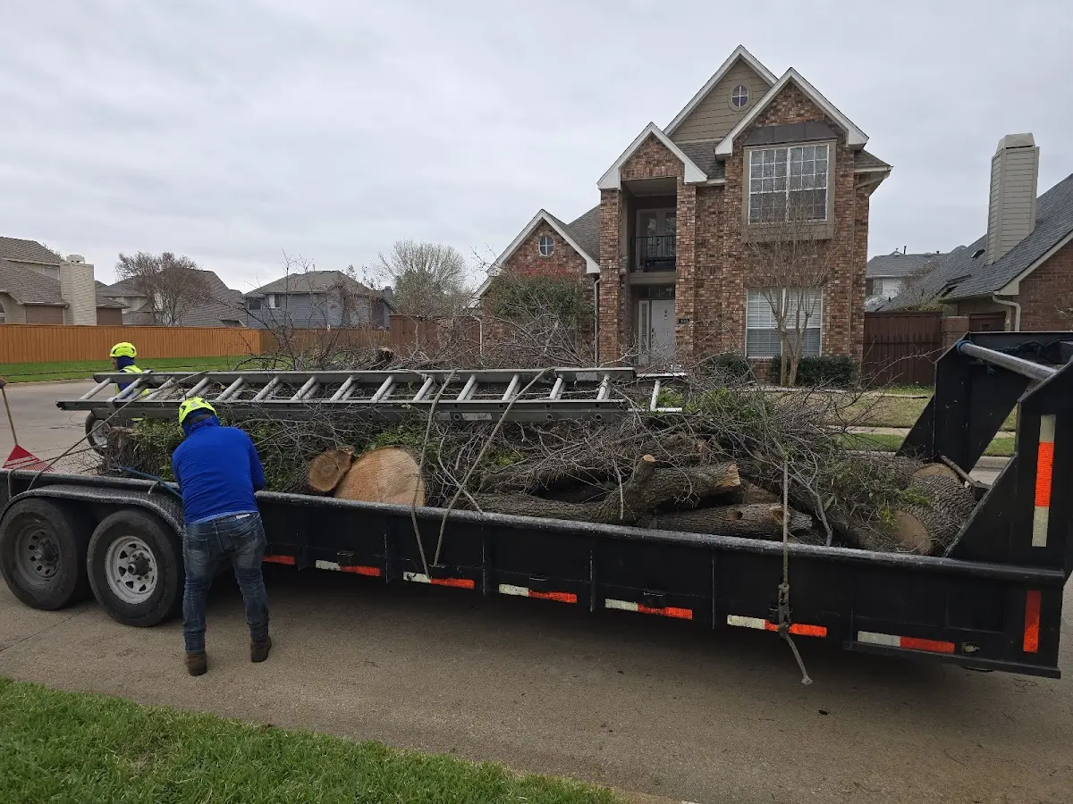 Expert Tree Fertilization with proper safety equipment in Idalou